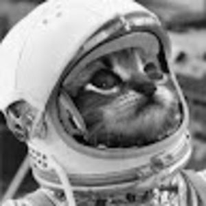 Meet your Posher, Teetimern